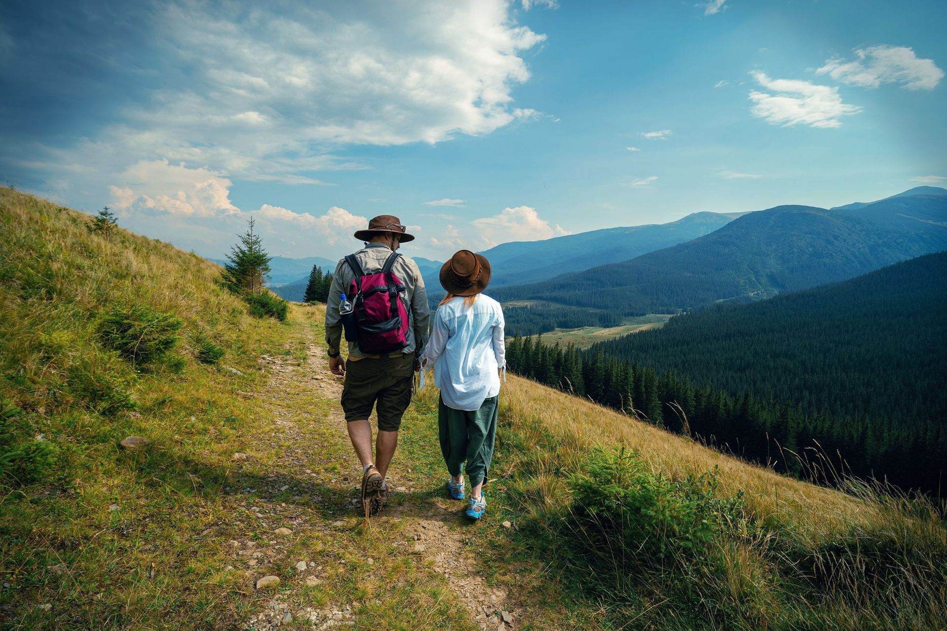 Какой сегодня, 7 ноября, праздник: Всемирный день ответственного туризма и вина Мерло 2