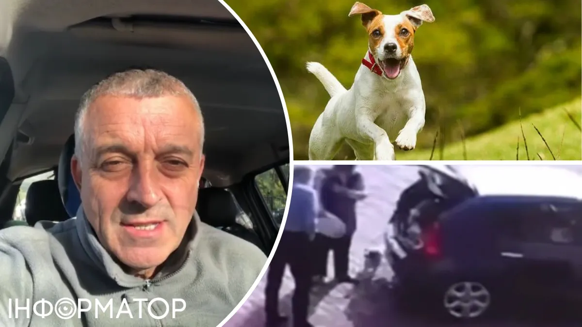 Нардеп Мазурашу нібито вкрав породистого собаку: може брехня, але є відео