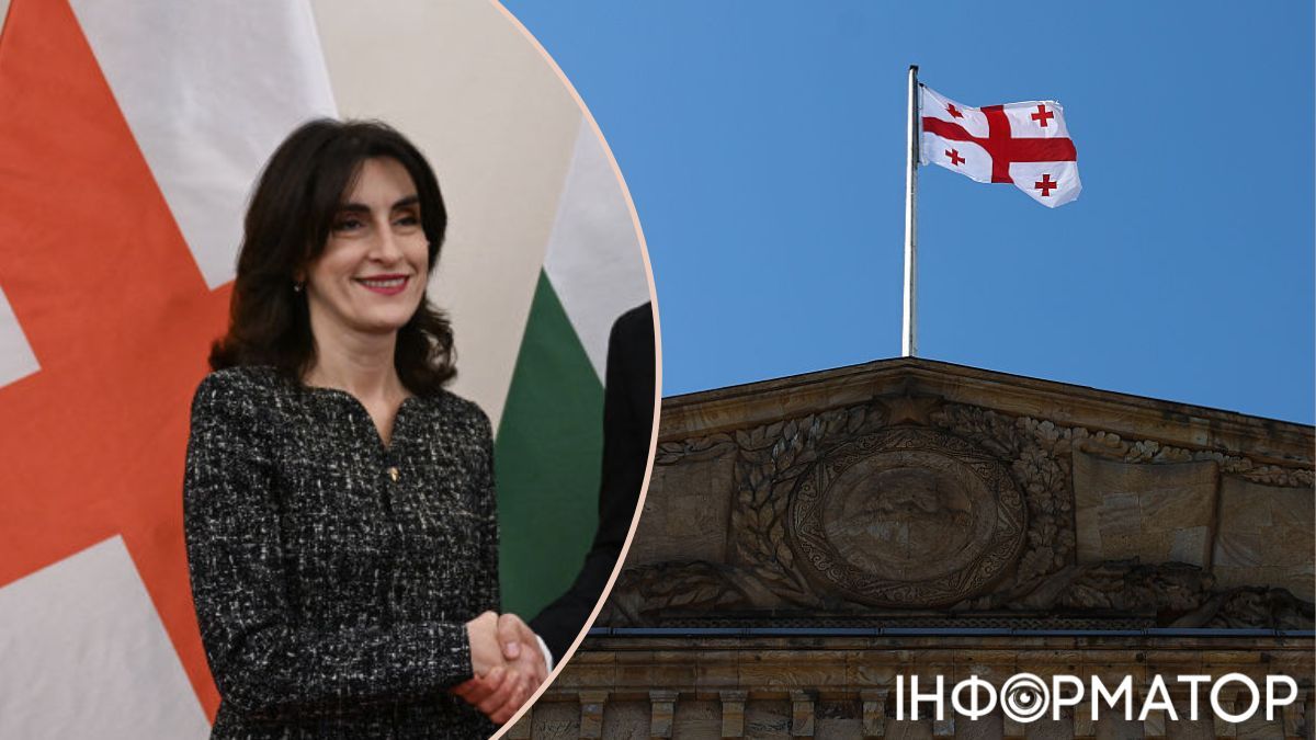 В усьому винні українці: у Грузії зробили резонансну заяву щодо вступу до ЄС