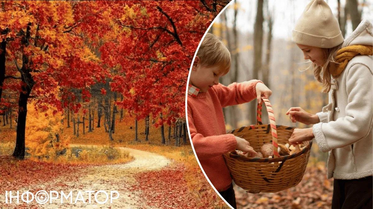 Буря зашкаливает за семь баллов, но в остальном все хорошо - прогноз погоды на 7 ноября