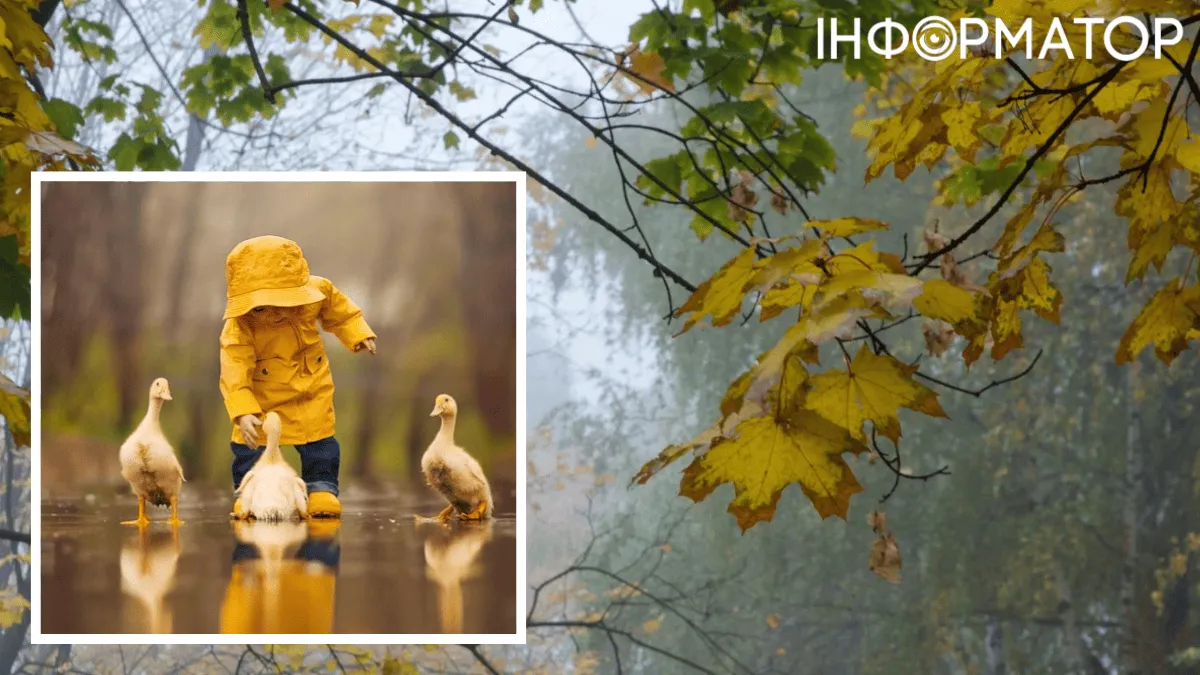 На завтра есть хорошая примета – прогноз погоды на 9 ноября