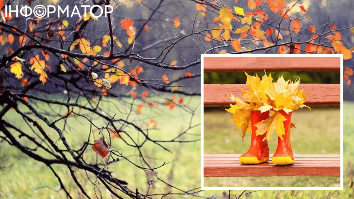 Синоптики попередили українців про небезпеку – прогноз погоди на 10 листопада