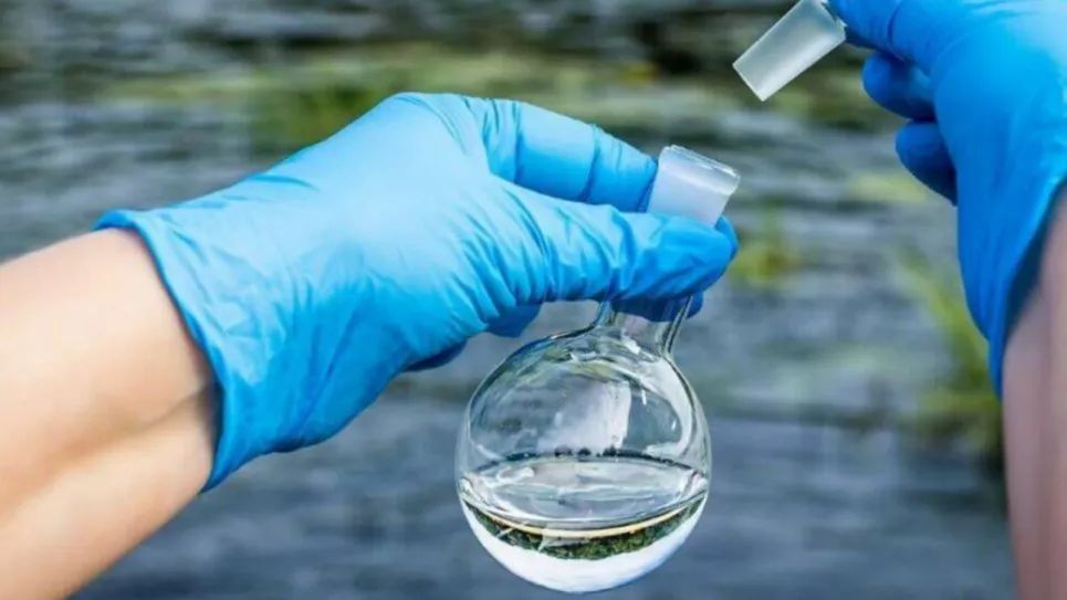 Какой сегодня, 13 ноября, праздник: Международный день слепых и доброты 3