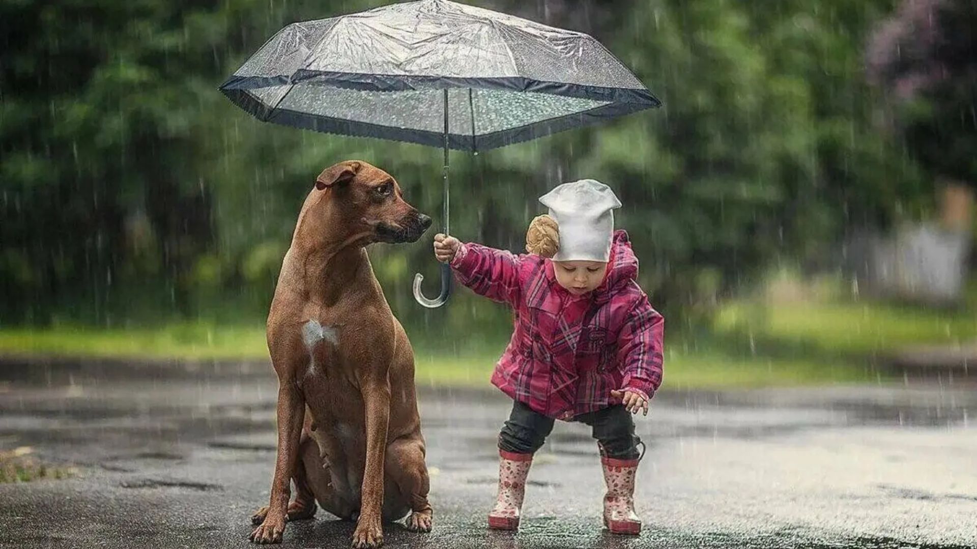 Какой сегодня, 13 ноября, праздник: Международный день слепых и доброты 4