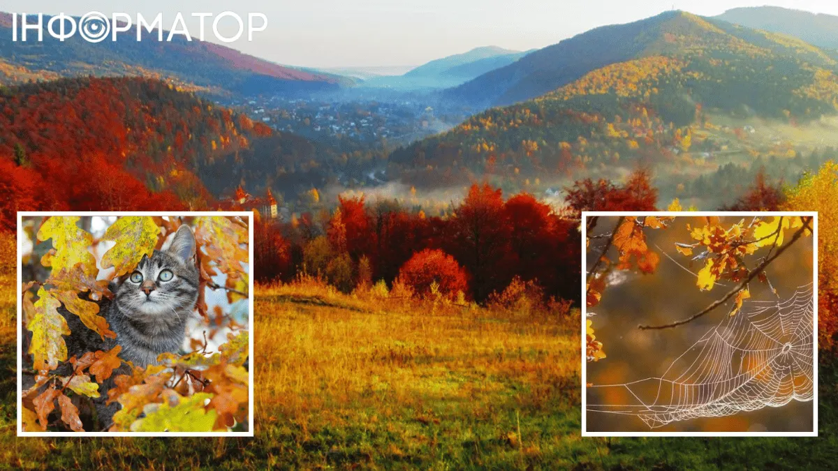 Дождались, в Украину заглянет весна – прогноз погоды на 14 ноября