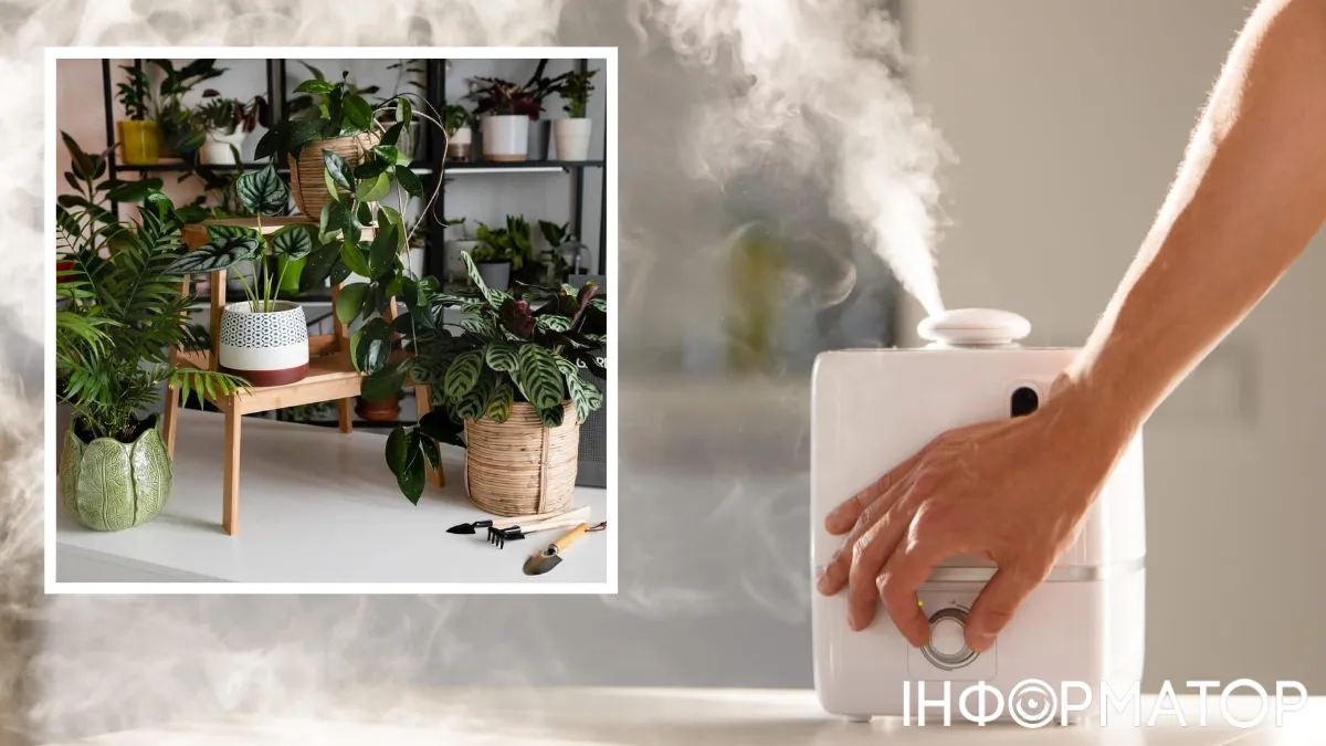 Високі технології дісталися квітникарів: продається гаджет, який рятує рослини від стресу