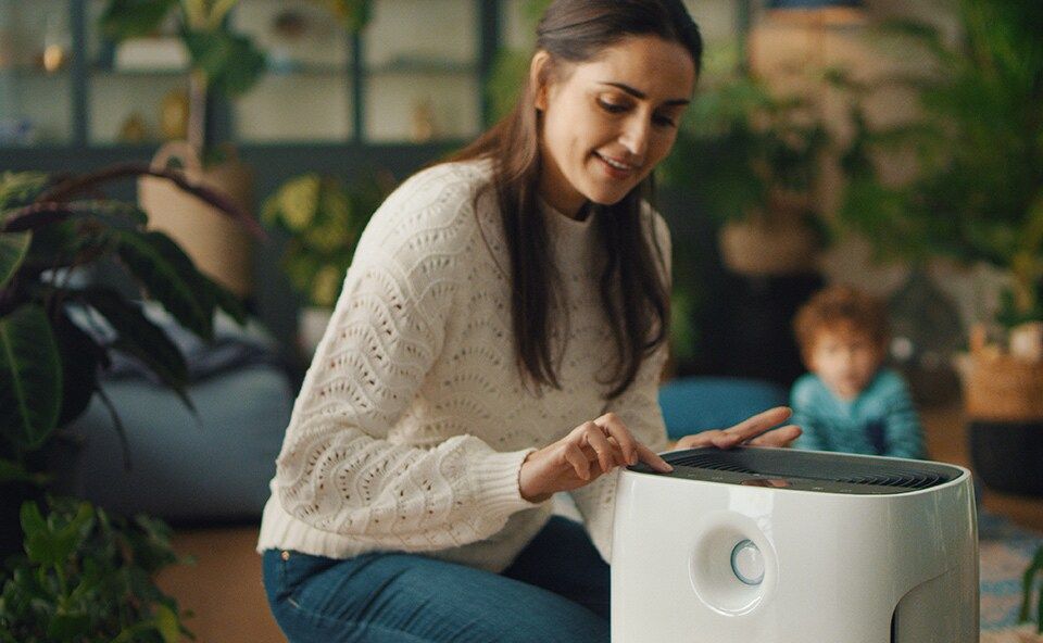 Зволожувачі допоможуть кімнатним рослинам пережити опалювальний сезон