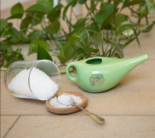 Неті-пот вигадали ще в стародавній Індії Неті-пот вигадали ще в стародавній Індії