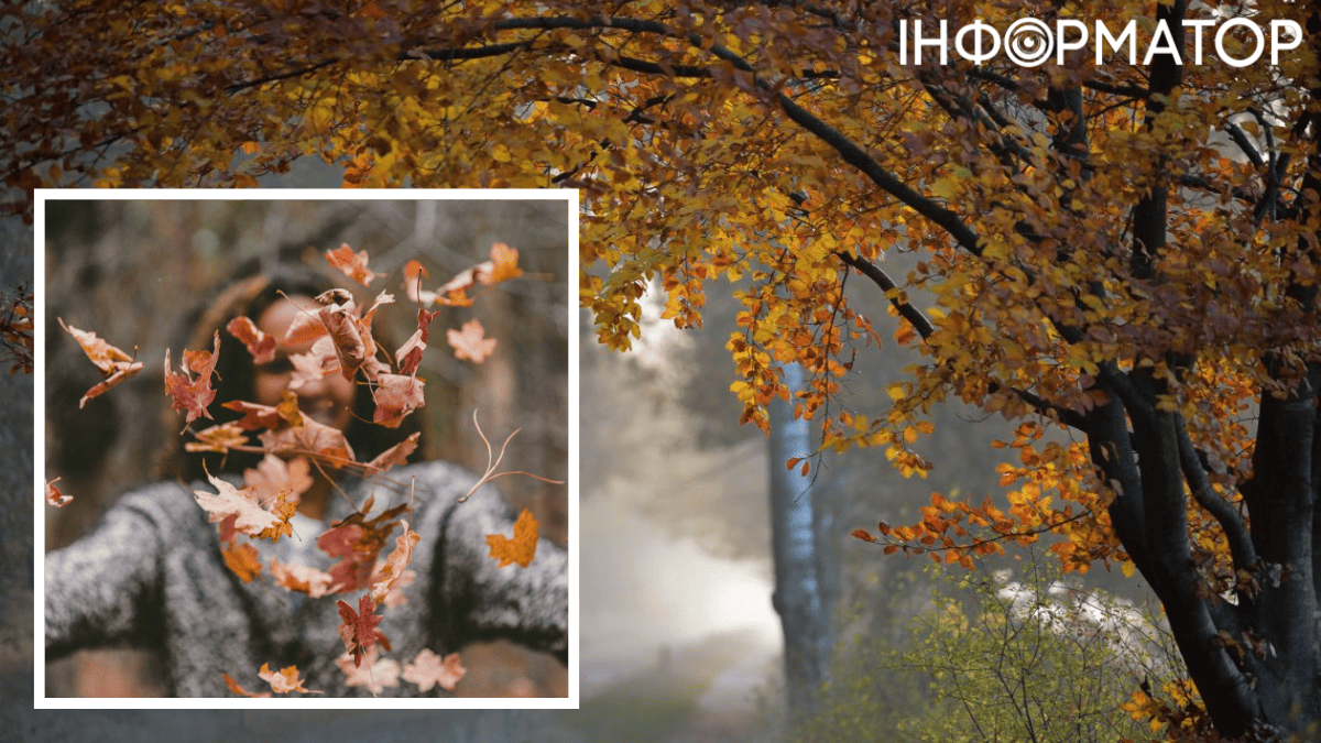 Синоптики, как мама - просят завтра беречь голову: прогноз погоды на 18 ноября