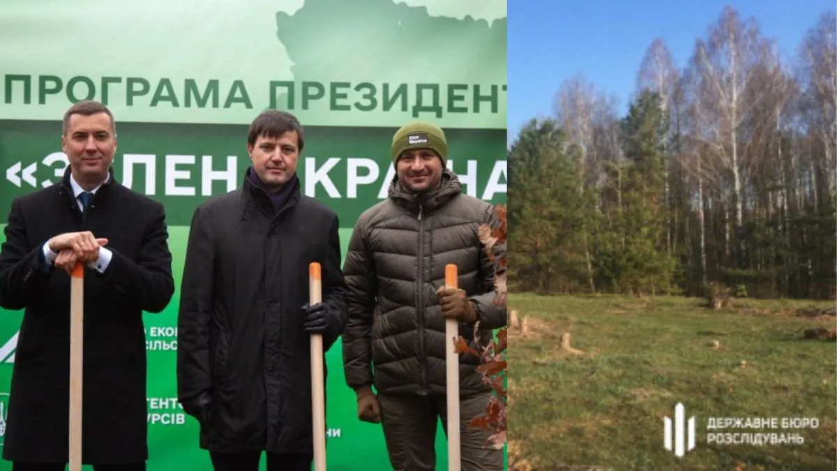 Мільярд дерев або незграбний антикриз ДП Ліси України