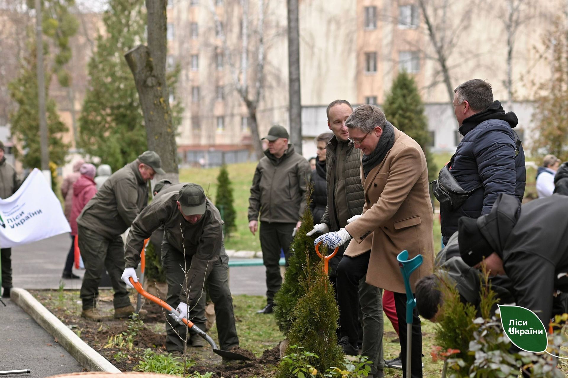 Мільярд дерев або незграбний антикриз ДП Ліси України 4