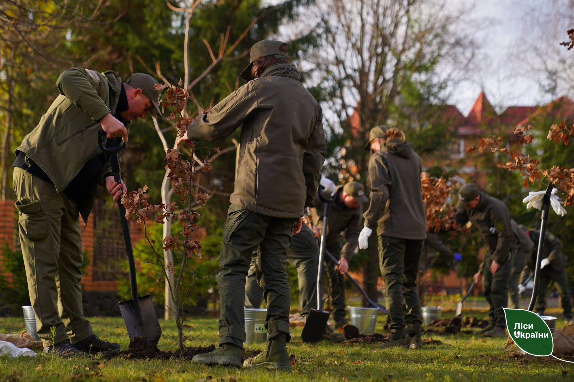 Мільярд дерев або незграбний антикриз ДП Ліси України 5