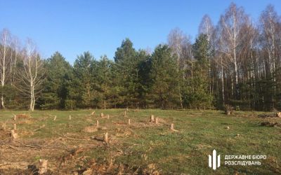 Мільярд дерев або незграбний антикриз ДП Ліси України 6