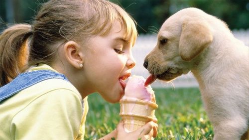 Симптоми наявності паразитів можна сплутати з іншими хворобами