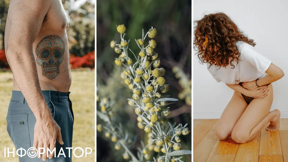 Новый тренд - чистка желудка полынью: можно ли так спасти свое тело