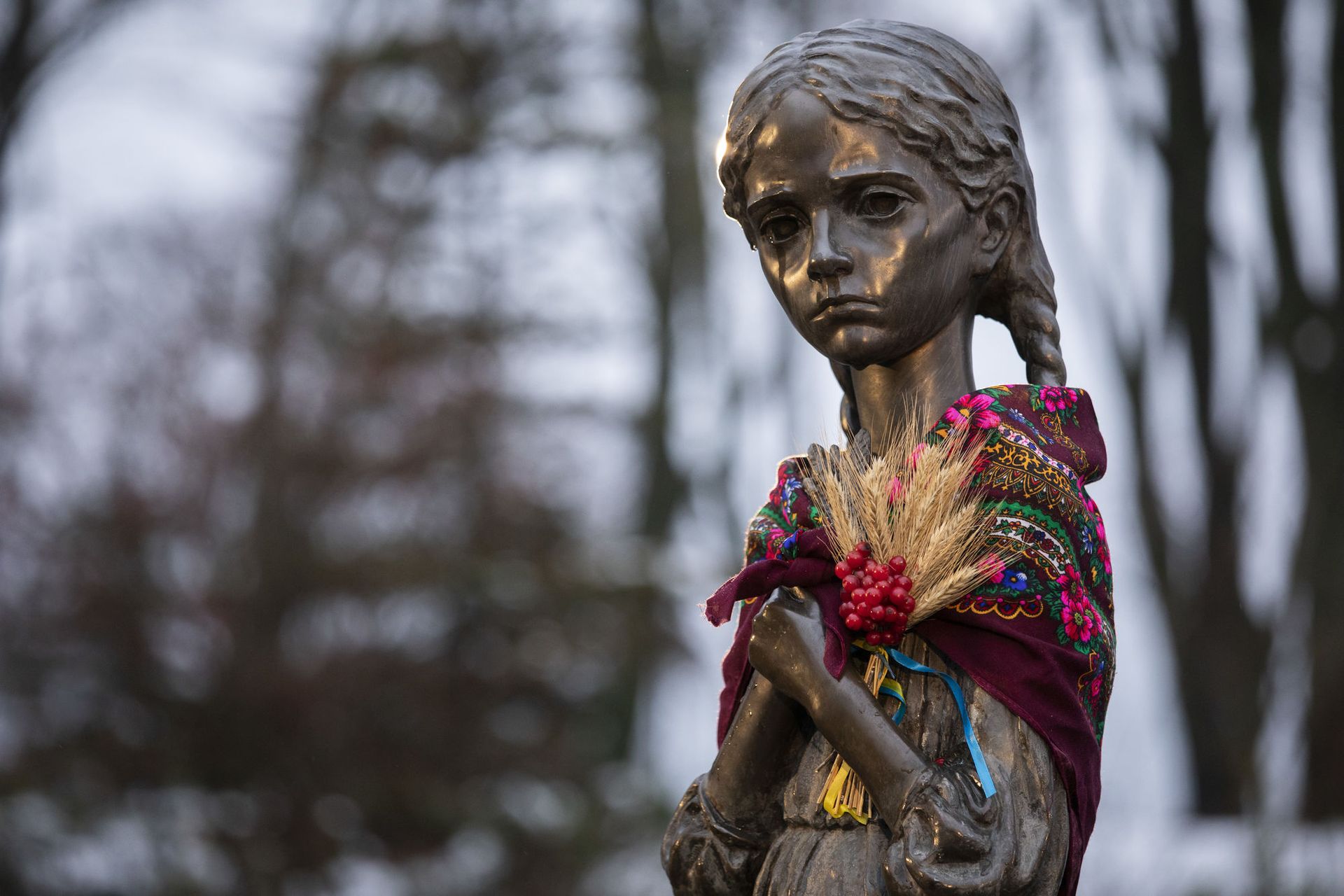 Какая сегодня, 22 ноября, дата: День памяти жертв голодоморов и Международный день сына 2