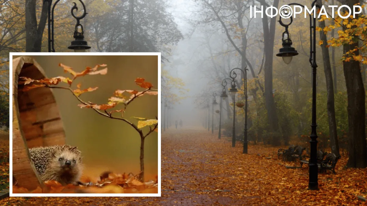 Погода в Україні відкотиться назад – прогноз на 21 листопада