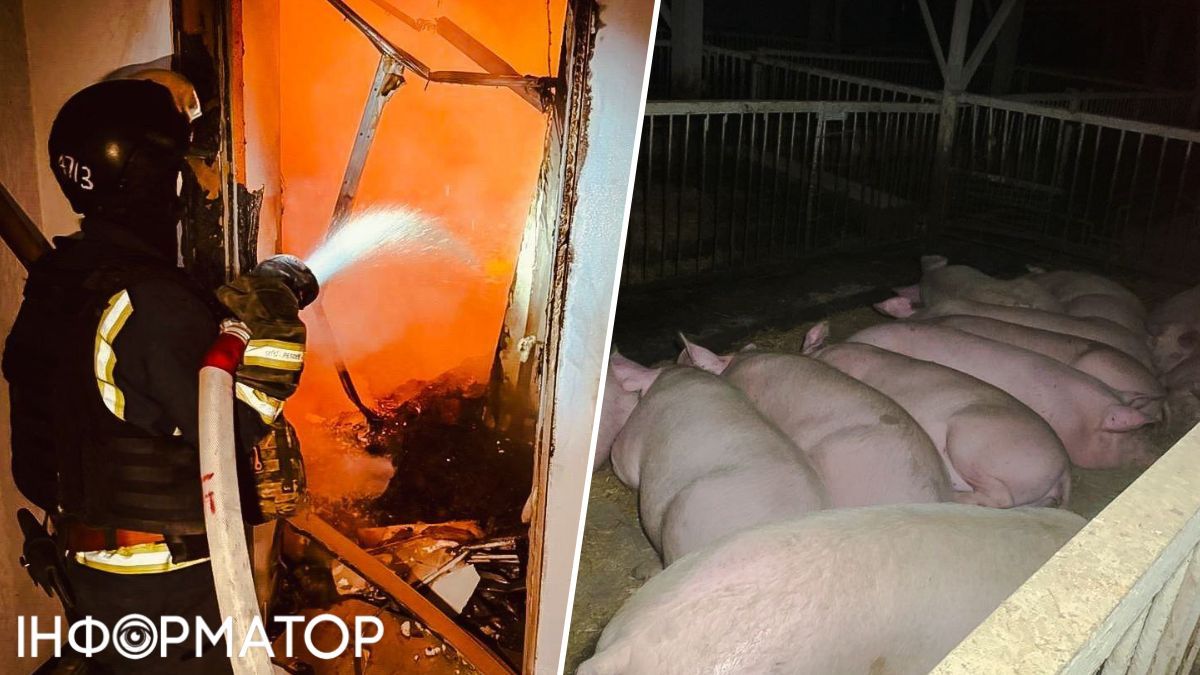 удар по фермі на Харківщині