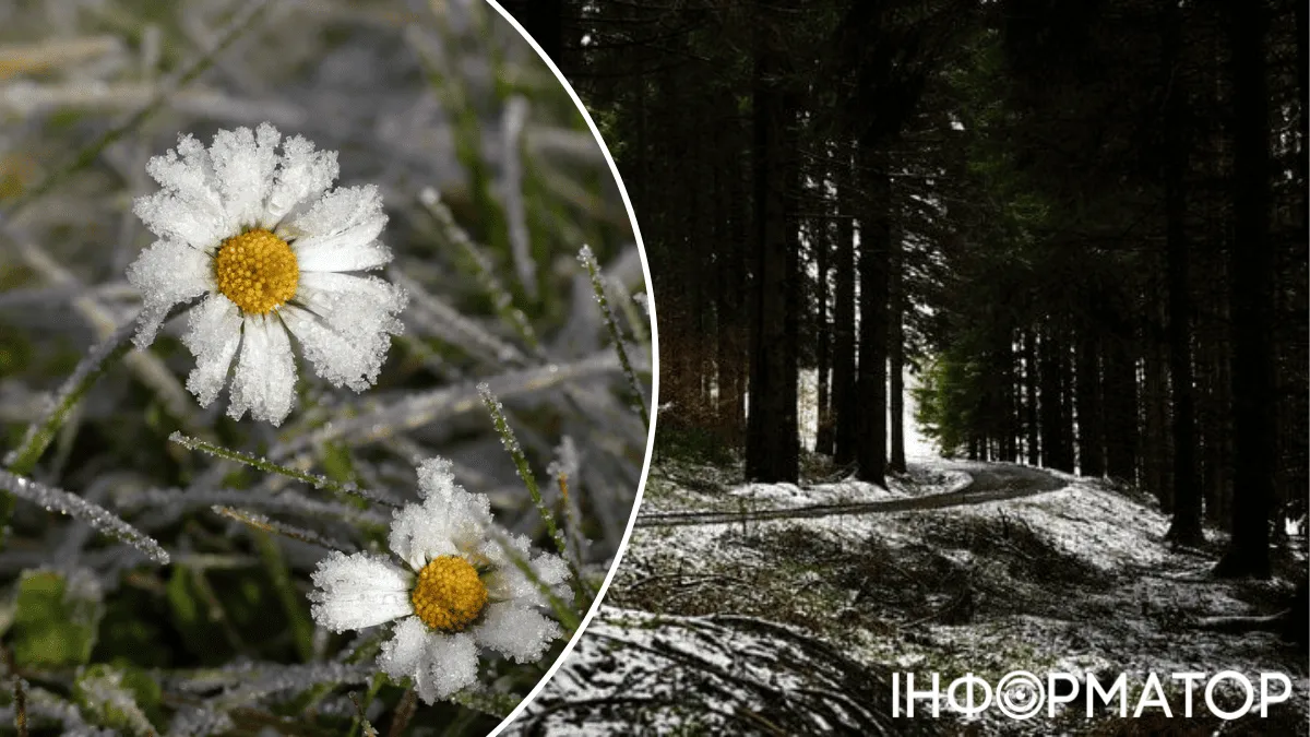 Вже сформувався сніговий покрив – прогноз погоди на 25 листопада