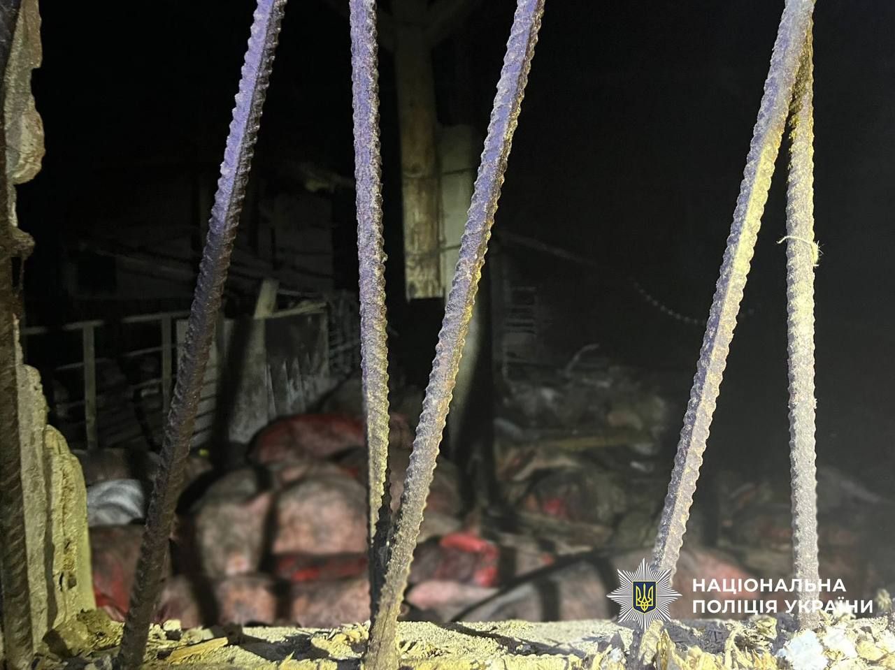 Россияне ударили по ферме на Черниговщине и убили 1000 своих родственников