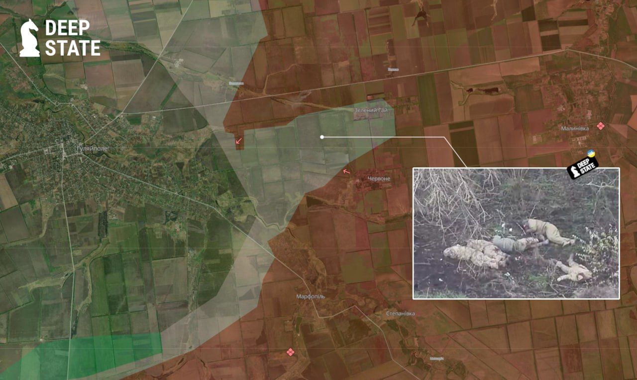 Россияне казнили пятерых украинских пленных под Зеленым Гаем - DeepState 1