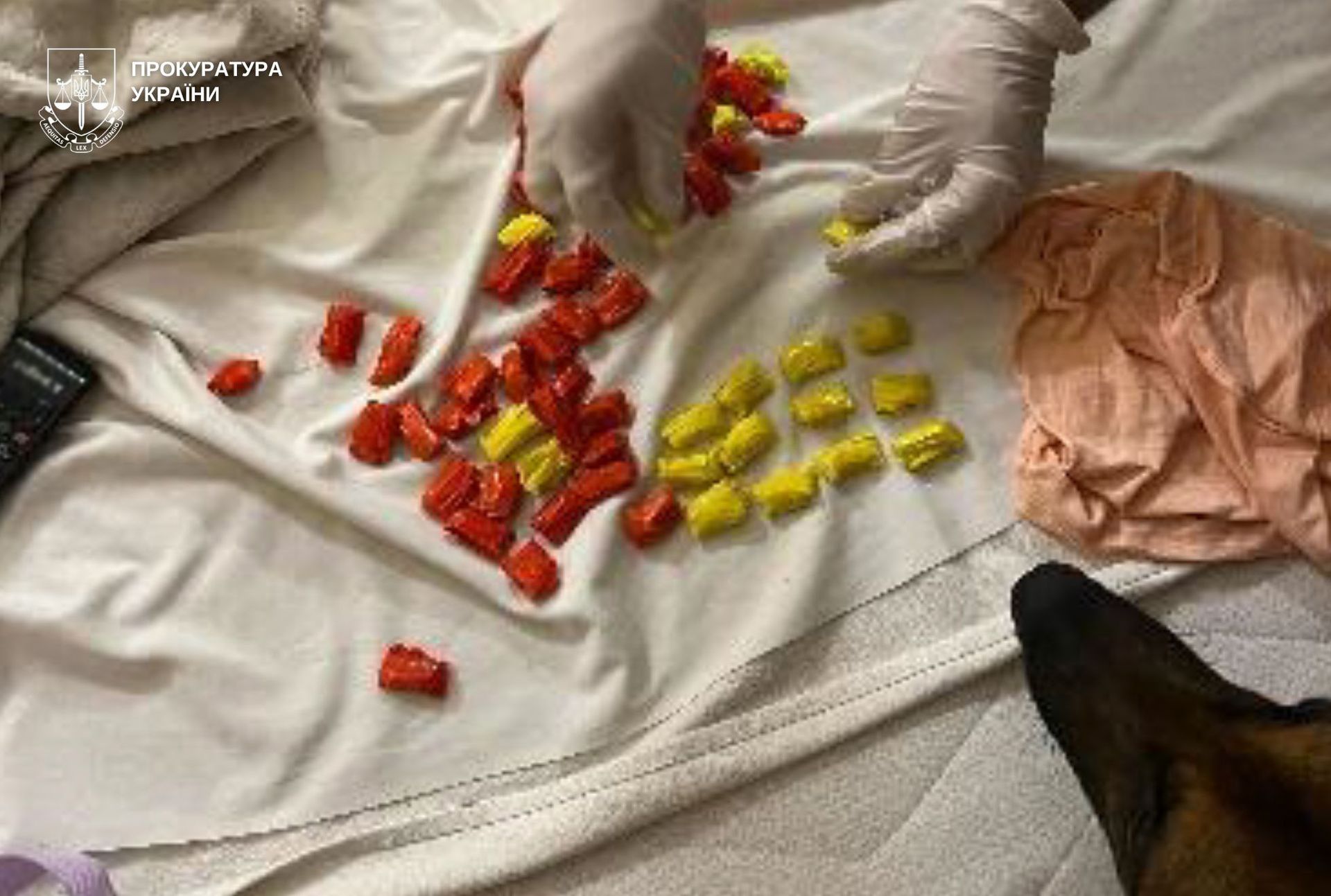 У Львові жінка змушувала 5-річну доньку продавати наркотики: їй загрожує до 12 років тюрми 1