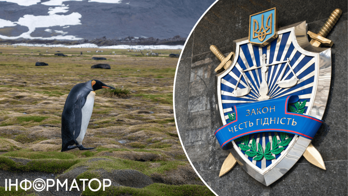 Яке сьогодні, 1 грудня, свято: День Антарктиди та працівників прокуратури України