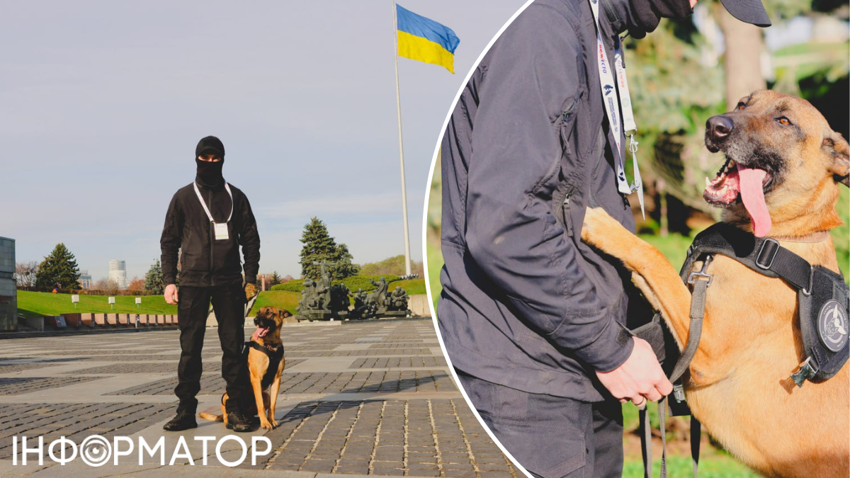 Кто бросил Зигу: у Буданова рассказали невероятные истории собак, работающих в ГУР