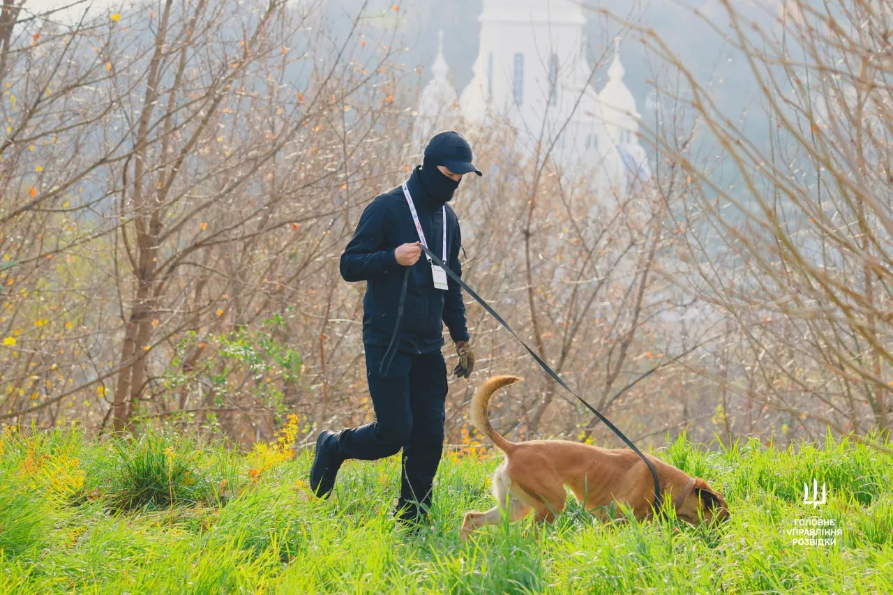 Кто бросил Зигу: у Буданова рассказали невероятные истории собак, работающих в ГУР 2