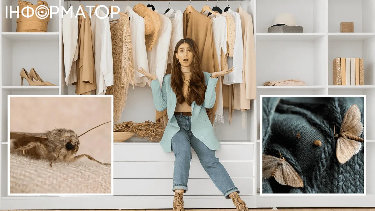 Міль можна перемогти за допомогою духовки: підпалюй