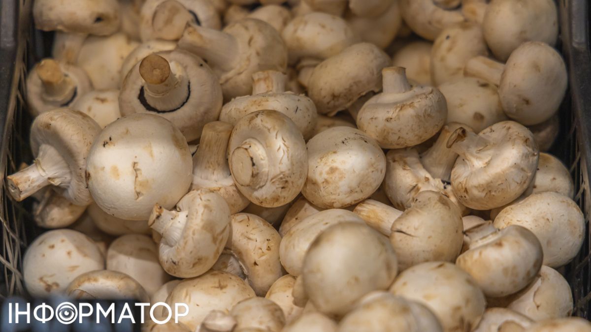 Ціни на гриби під Різдво та Новий рік: прогноз не радує