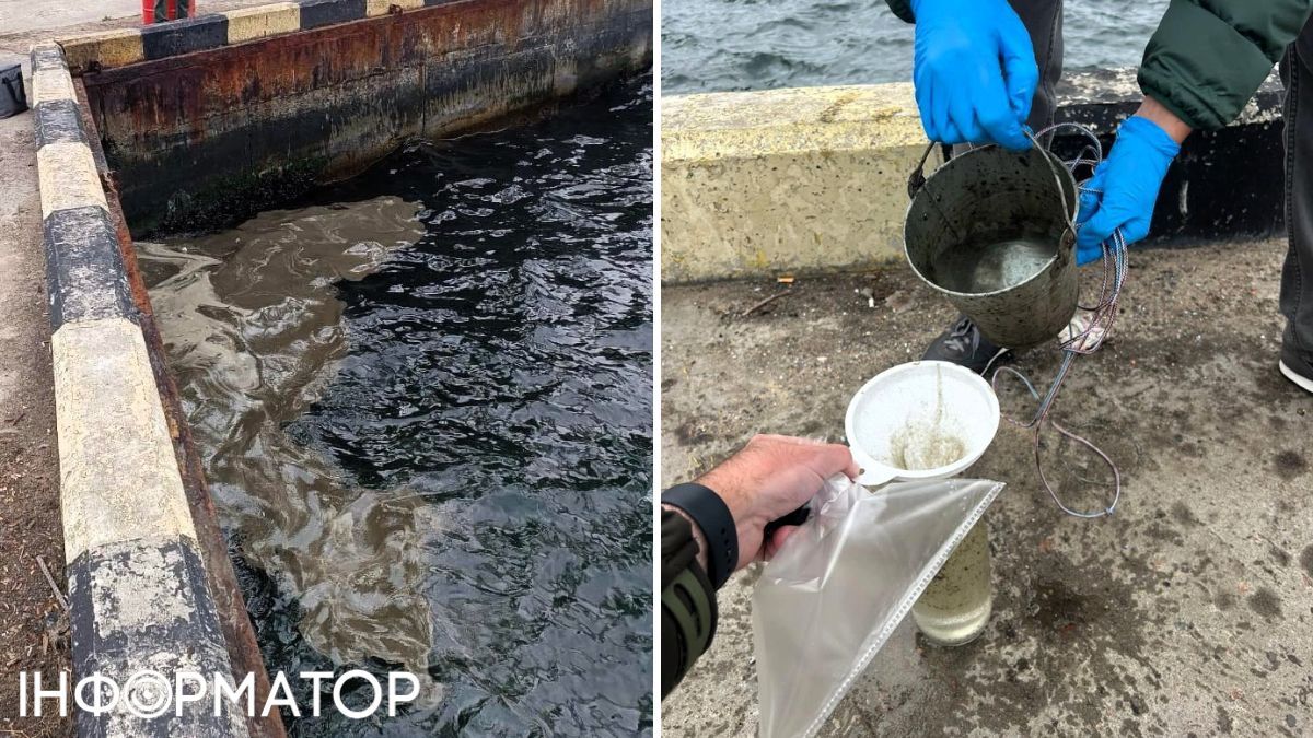 Сухий лиман в Одесі через удари РФ вщент забруднено олією: екологічні збитки на десятки мільярдів