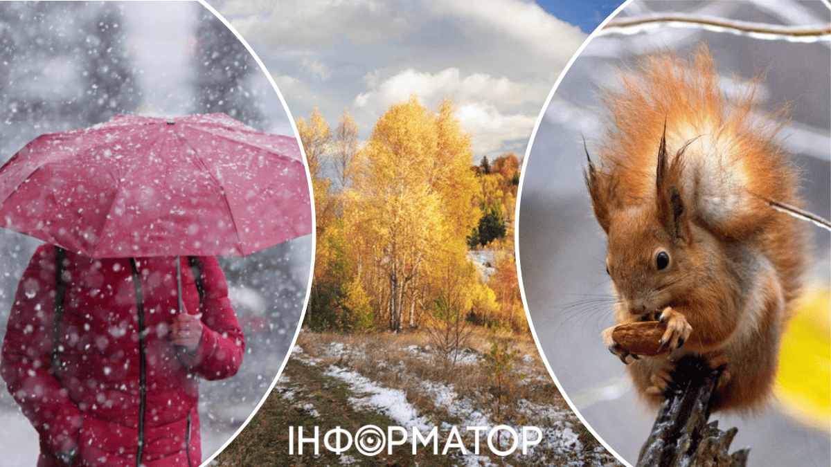 Погода в Україні, як тест психолога: наполовину хороша, або наполовину погана – прогноз на 10 грудня