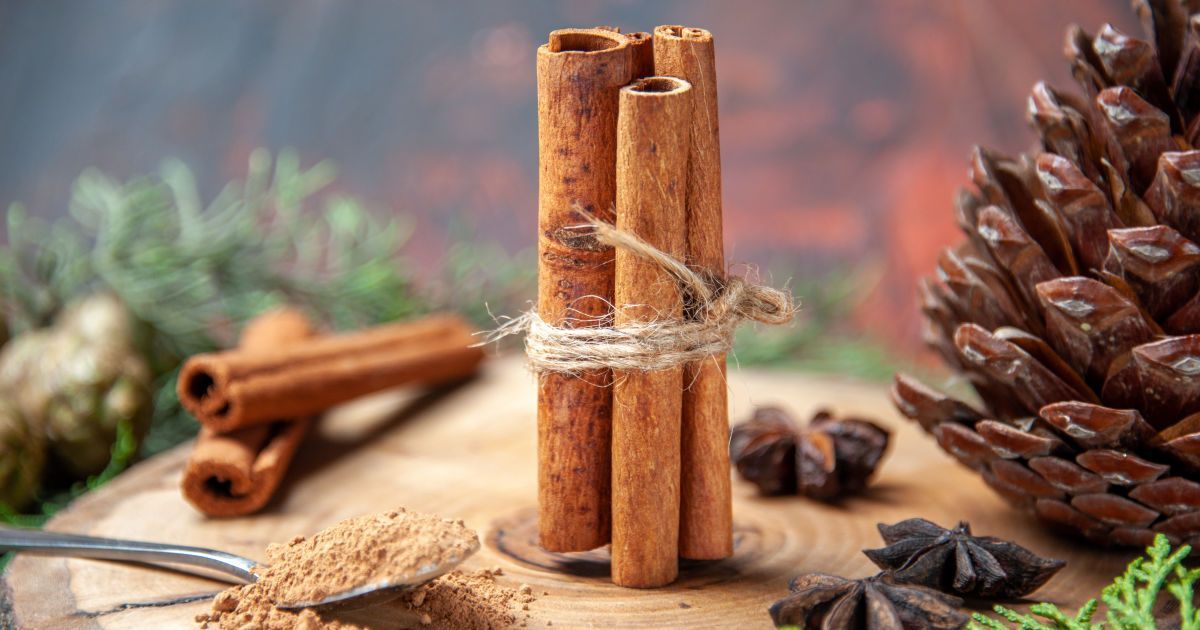 Кориця має коричні властивості Кориця має коричні властивості