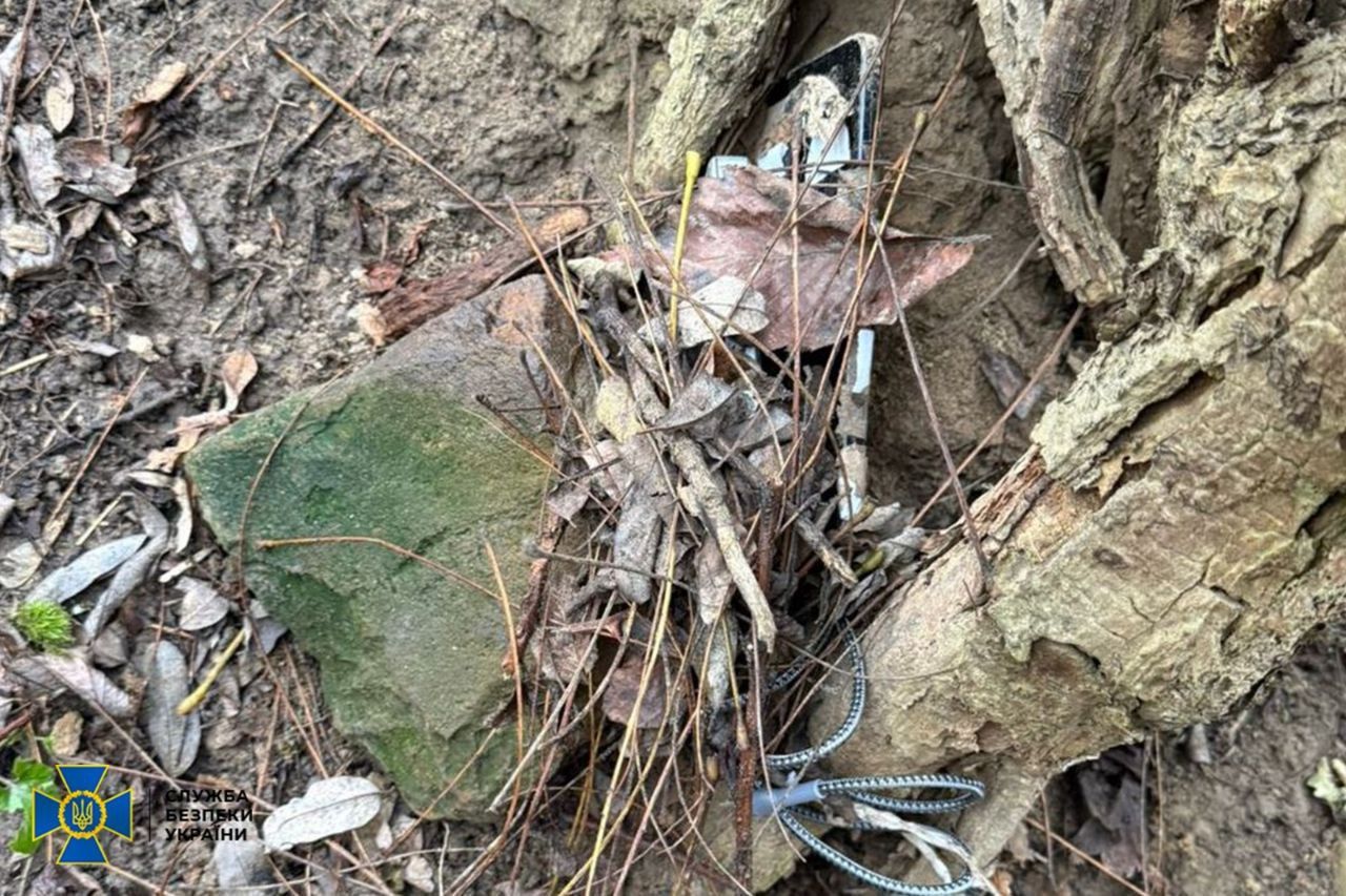 Дівчина заховала вибухівку серед листя Дівчина заховала вибухівку серед листя