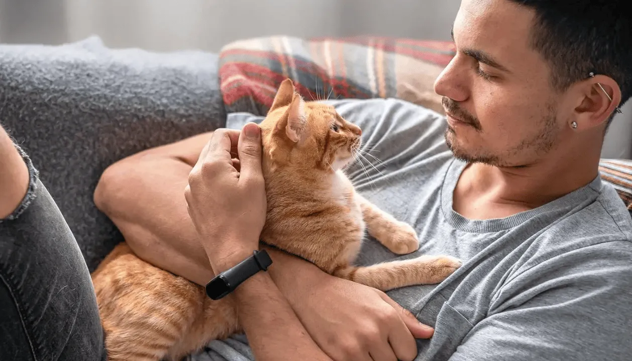 Коти не просто відрізняють власників, а говорять з ними по різному Коти не просто відрізняють власників, а говорять з ними по різному