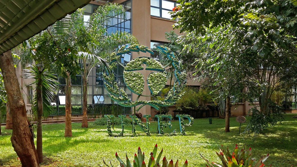 UNEP занимается природой и экологией Какой сегодня, 15 декабря, праздник: Всемирный день чая и ношение жемчуга 4