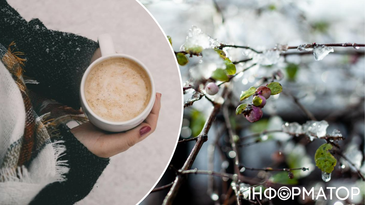 Зимняя сказка закончилась  – прогноз погоды на 15 декабря