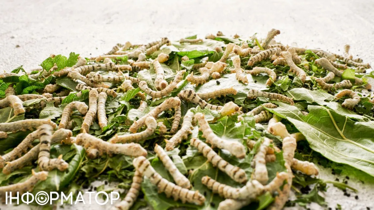 Курам на смех: в Украине будут производить белок из насекомых