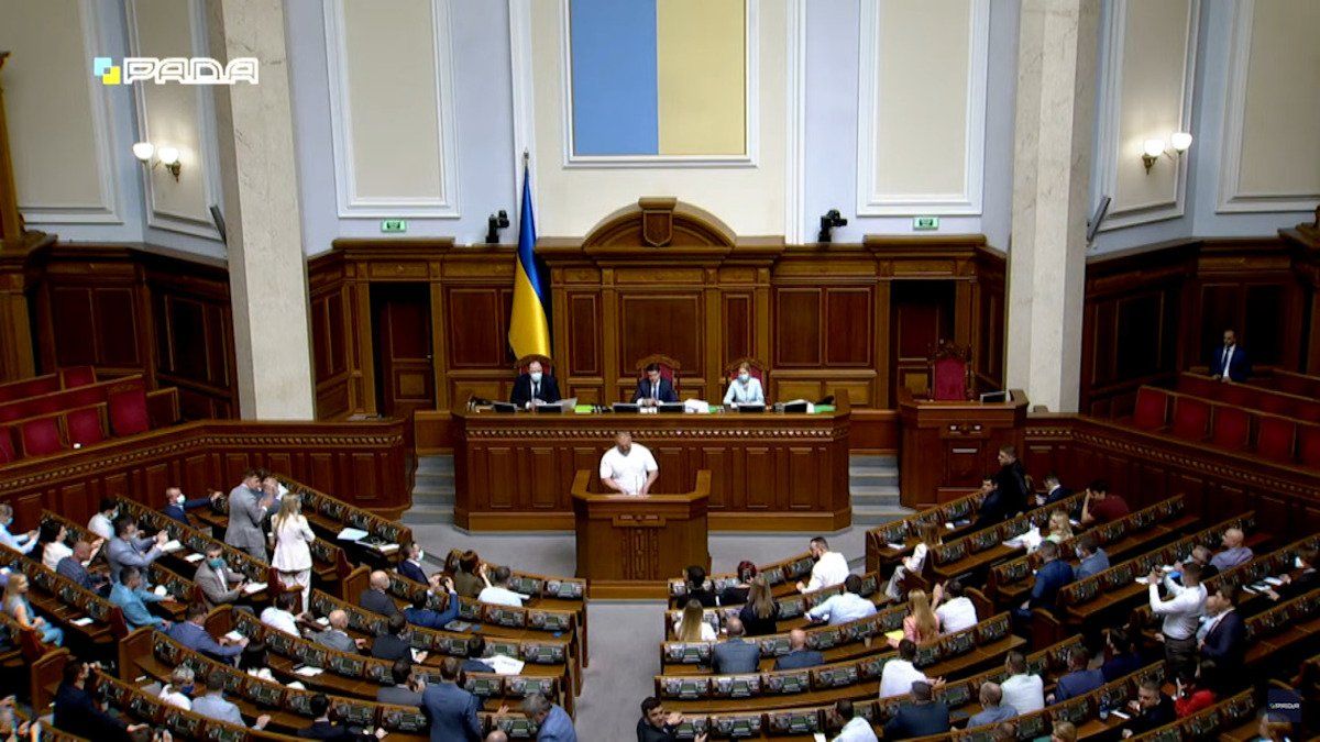 Заступниця голови фракції «СН» розповіла, чи підтримають нардепи кандидатуру Монастирського на пост глави МВС