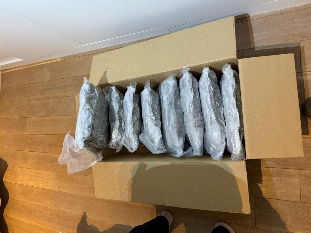 Поліція у Варшаві затримала українця з рекордним вантажем наркотиків - він ще викрадав елітні автівки 2