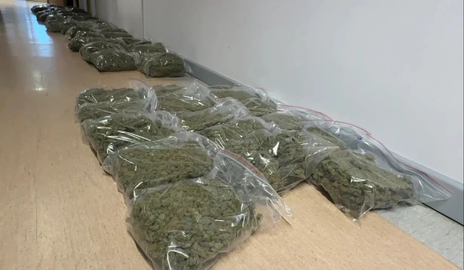 Поліція у Варшаві затримала українця з рекордним вантажем наркотиків - він ще викрадав елітні автівки 1