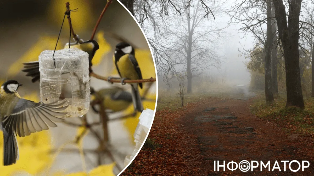 В Украине намечаются изменения - прогноз погоды на 22 декабря