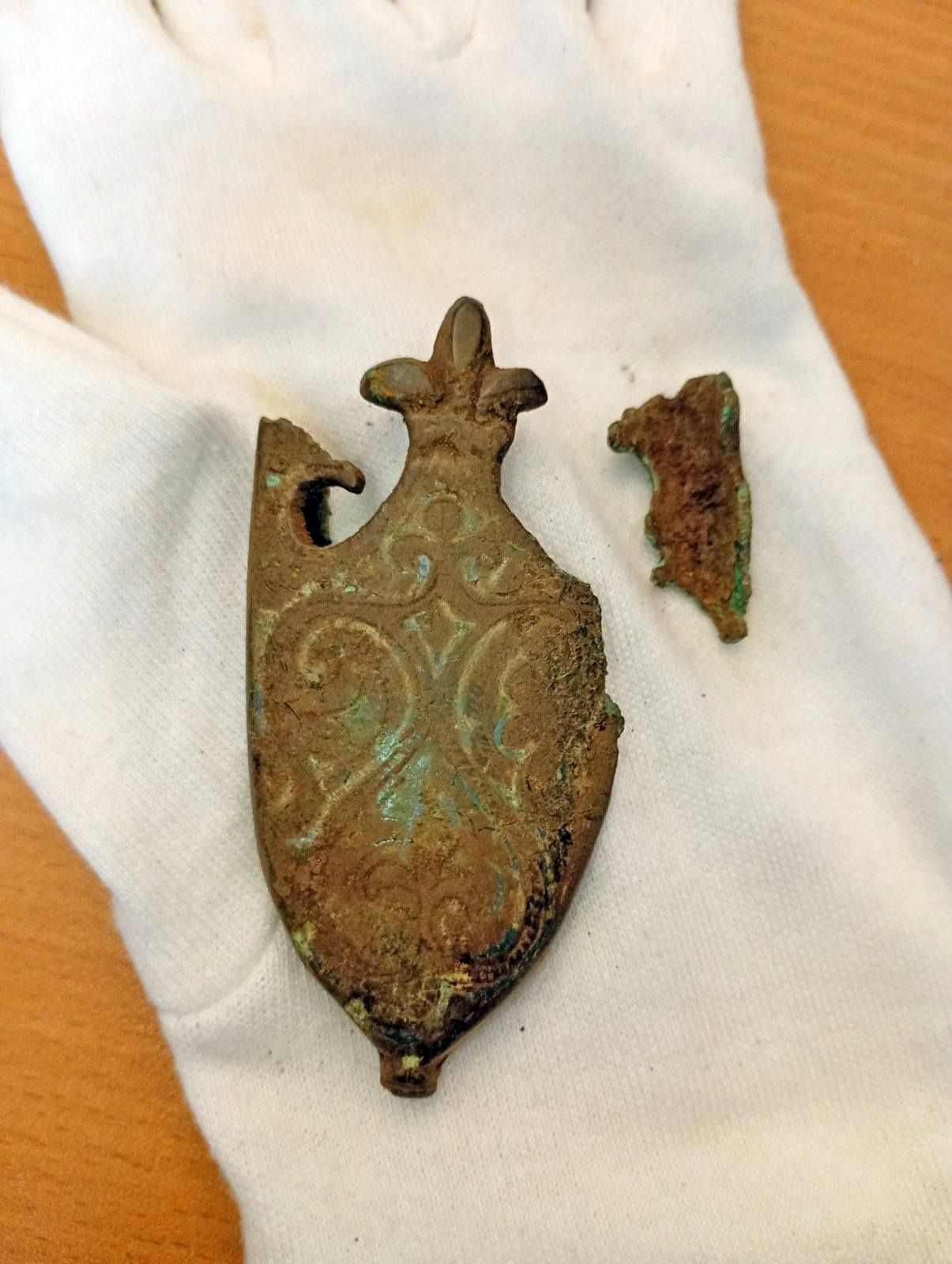 На Житомирщине нашли уникальный меч времен Киевской Руси 4