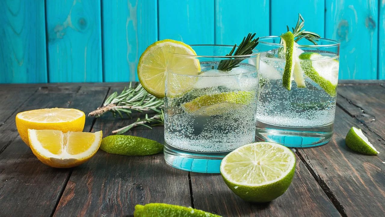 Джин з тоніком проти вина: несподівані переваги популярного коктейлю 1