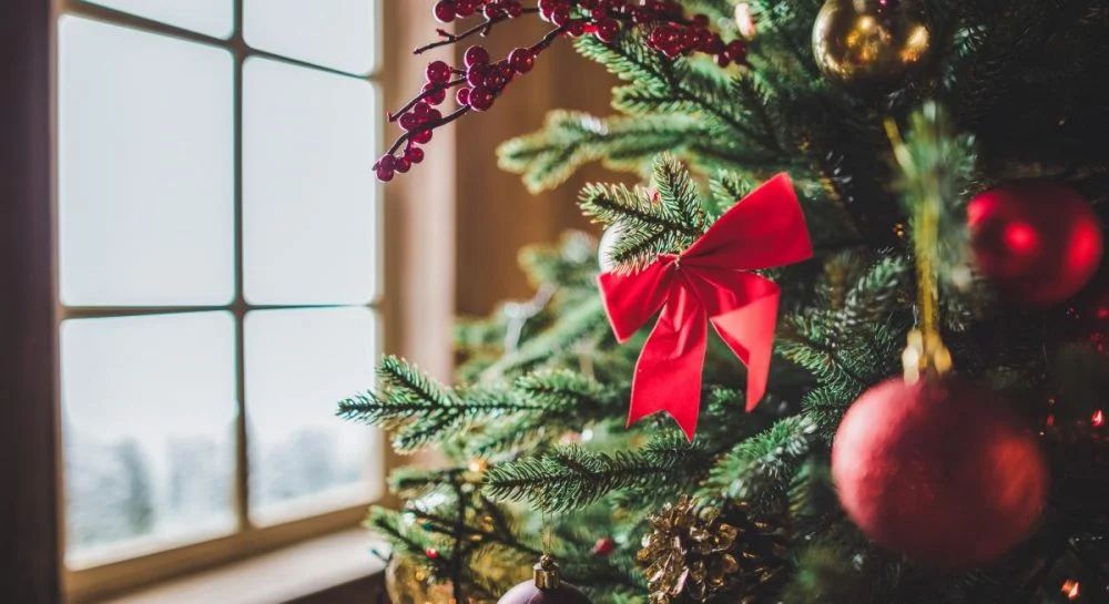 Новорічні свята будуть з морозами та снігом