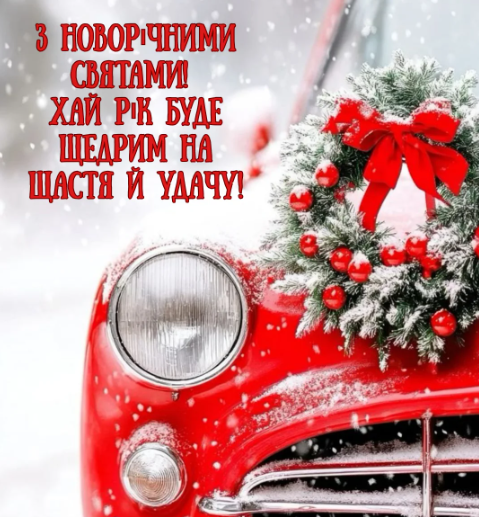 С Новым годом 14