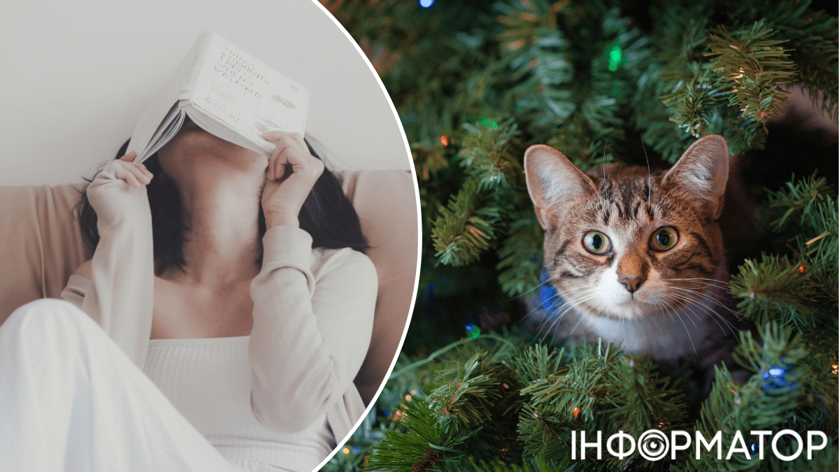 Яке сьогодні, 2 січня, свято: Котячий новий рік та День інтроверта