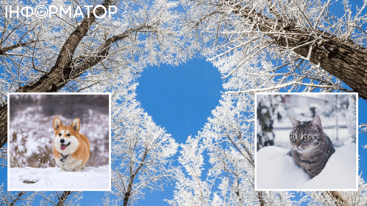 Україна не довго раділа снігу - прогноз погоди на 2 січня