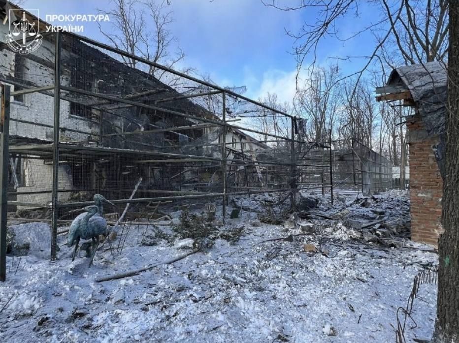 Скандал после атаки РФ: экопарк в Харькове обвиняют в жестокости к животным 2